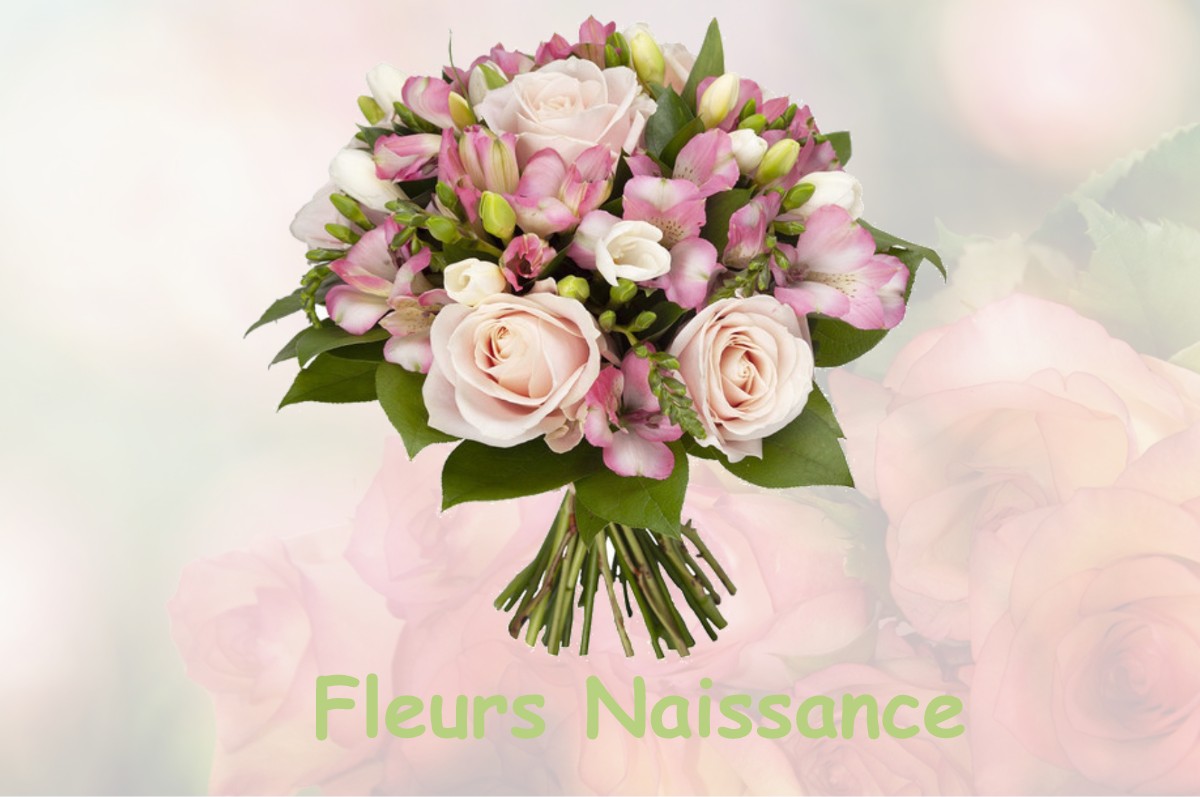 fleurs naissance POUZE