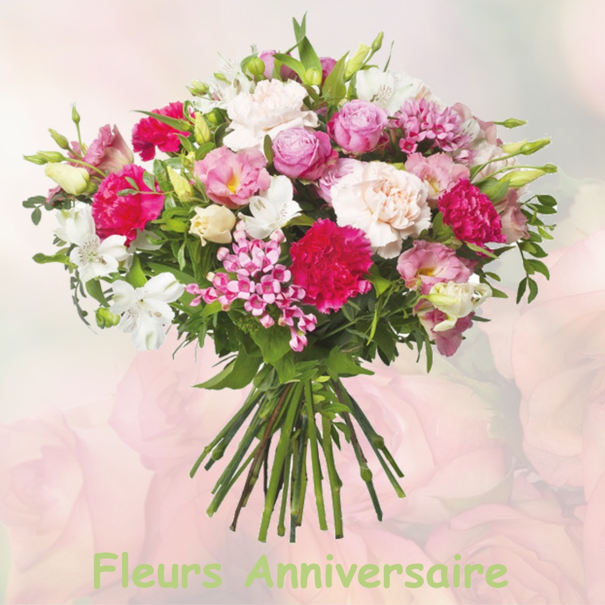 fleurs anniversaire POUZE