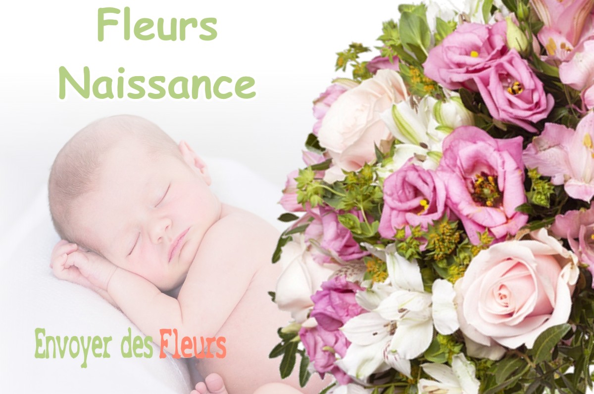 lIVRAISON FLEURS NAISSANCE à POUZE